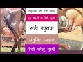 🥛 “गाय-भैंस का दूध तेज़ी से कैसे बढ़ाएँ? | देसी घरेलू नुस्खे + वैज्ञानिक तरीके 🥛| Dairy Farming 🐃🐄