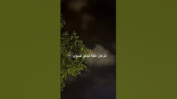 تلاوة القران بصوت جميل 🌷✨ #explore #اكسبلور #viral #الصلاة_على_النبي #تلاوة_خاشعة #quran #subscribe