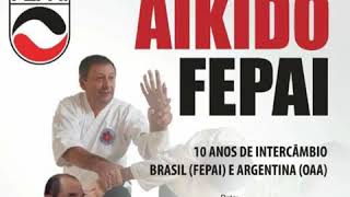 Seminario 10 Años Fepai - Oaa