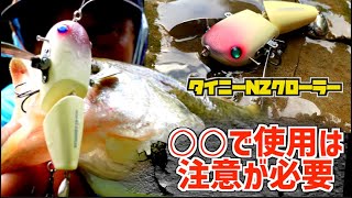 バス釣り】重さ14g！デプス「タイニーNZクローラー」アレでの使用は