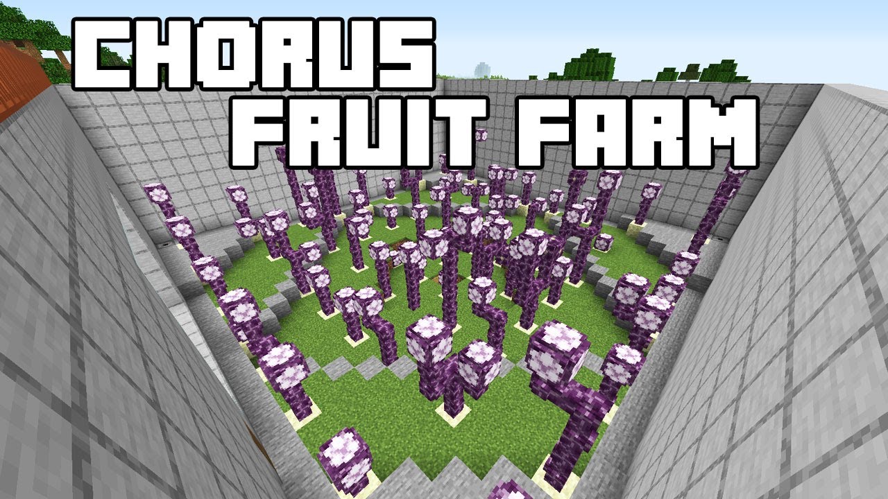 Chorus Fruit Farm Minecraft 1 15 1 16 Tutorial Java Edition Youtube