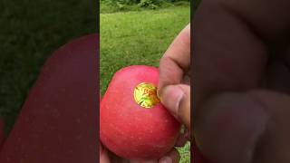 Lifehack Skills It Zyl Karemoving Applestickers Tr E Et Al 9 Is Ta 76