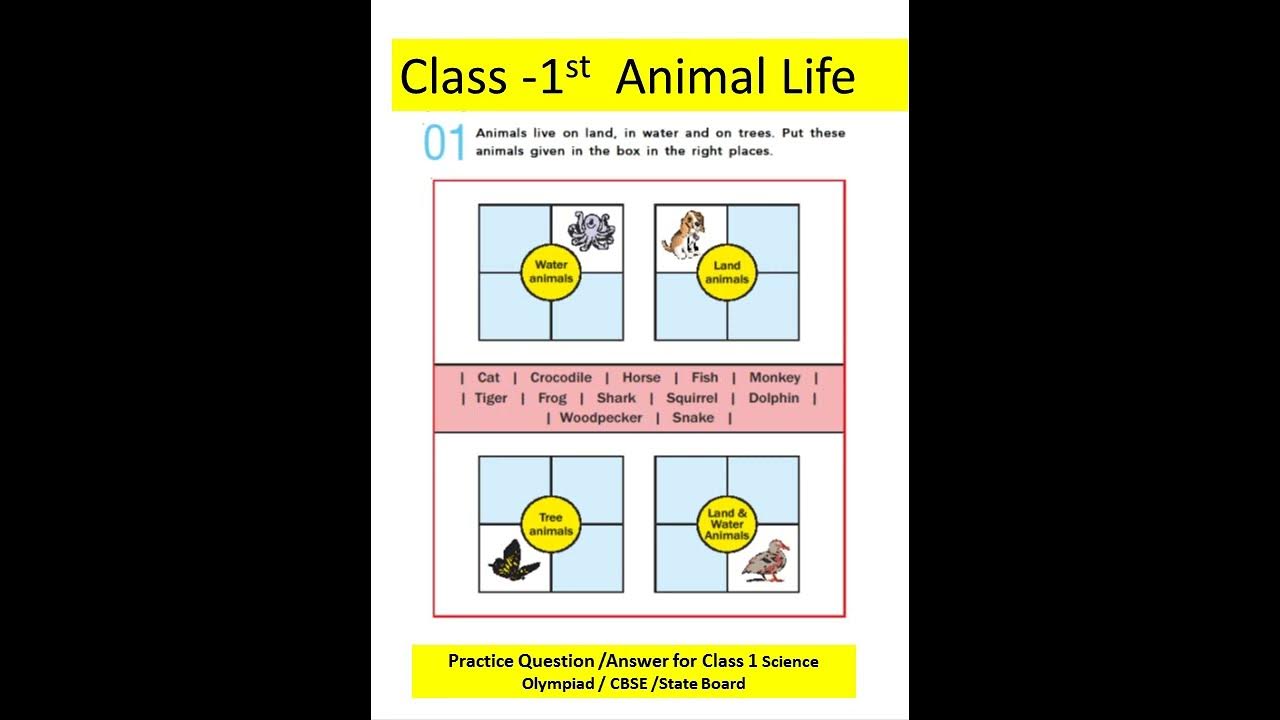 practice-question-answer-for-class-1-science-olympiad-cbse-state