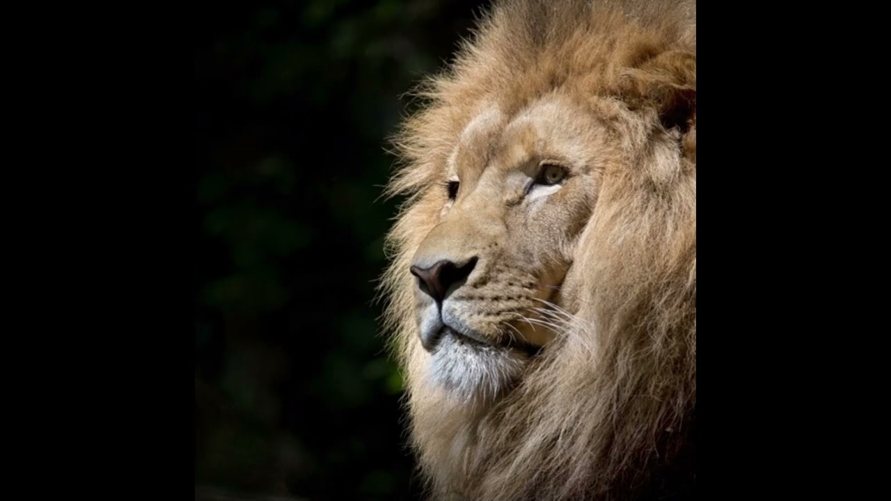 Chill Rap Trap Type Beat Instrumental - "hidden alley" [FREE TYPE BEAT 2022]