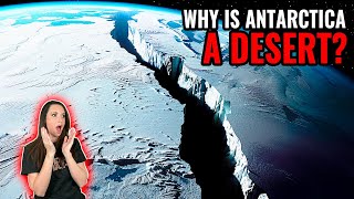 What Scientists Discovered About Antarctica SHOCKED EVERYONE!