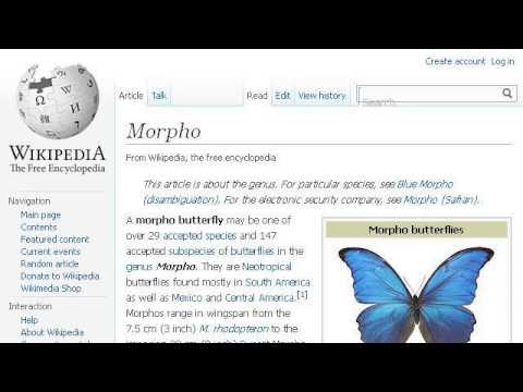 camera iphone 8 plus apk About Morpho Didius Butterflies