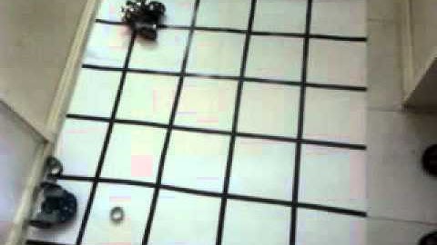 Grid following robot