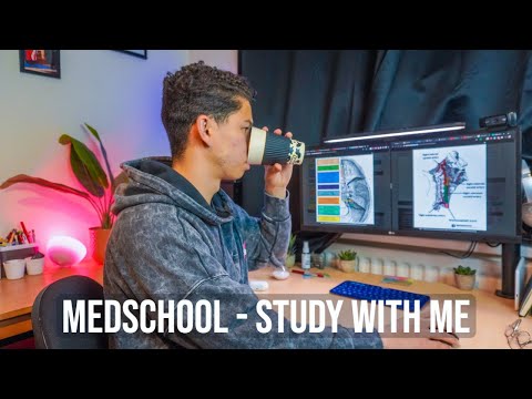 Evening Study With