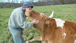 When Animals Remind You of Unconditional Love - Animal Show Love