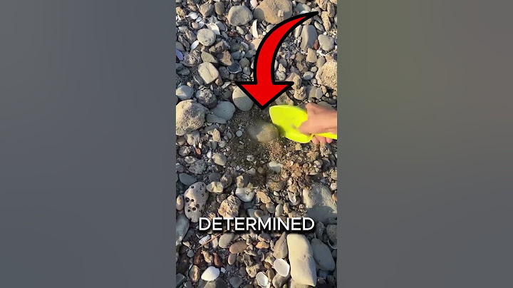 He Found a Coin Using Just His Phone! 😱📱