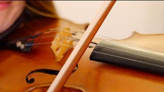 Não deixe o Samba Morrer | Alcione - versão Maria Rita | Anna Murakawa | Violin
