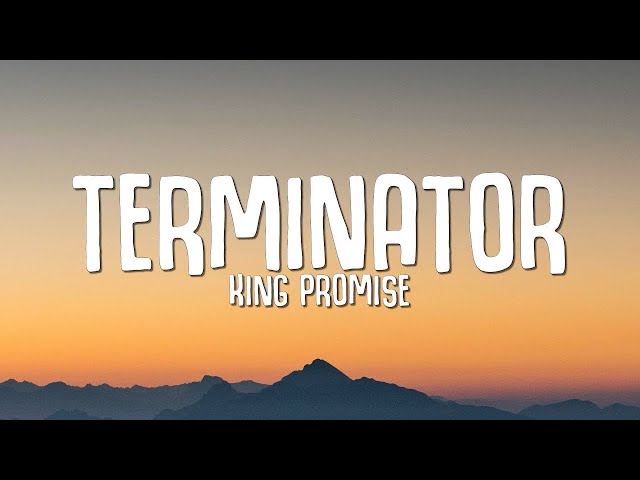 King Promise - Terminator (Lyrics)  1 Hour Version class=