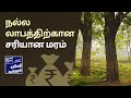 மண்ணிற்கேற்ற மரங்களைத் தேர்ந்தெடுத்தல்- மரக்கன்றுகள் நன்றாக வளர்வதை எப்படி உறுதி செய்வது- படி 4