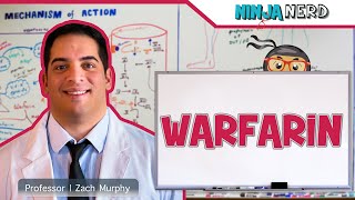 Warfarin | Mechanism of Action, Indications, Adverse Reactions, Contraindications