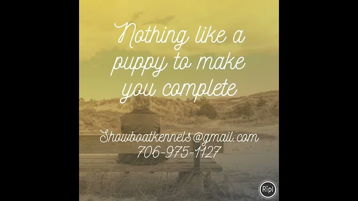 Nothing like a puppy to make you complete