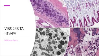 Histology Basics TA Review: Midterm Review Part I