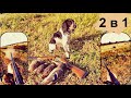 Охота на УТКУ и КУРОПАТКУ со спаниелем Бриком и ТОЗ 34 в БЕЛАРУСИ!!Duck and partridge hunting.