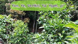 Video thumbnail of "Lahu Christian Song: Yon Ye Ve Hkri Ya Hpeh Pi"