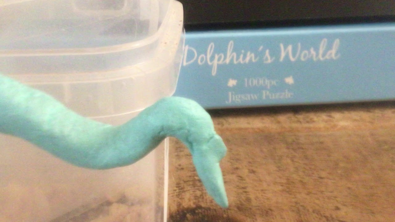 Chicken Mimic testing #1 head movement