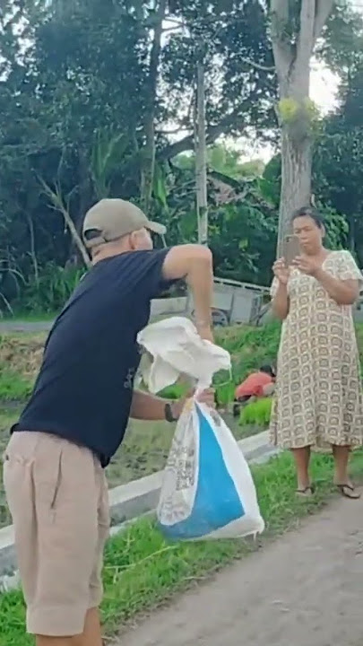 Gempar ular didesa Kuwonharjo.