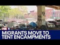 NYC migrants living in tent encampments image