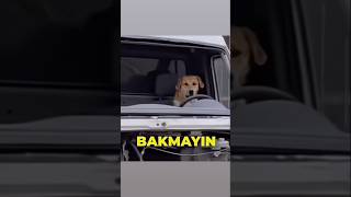 Arabamın Kusuruna Bakmayın Kızlar😂 Resimi