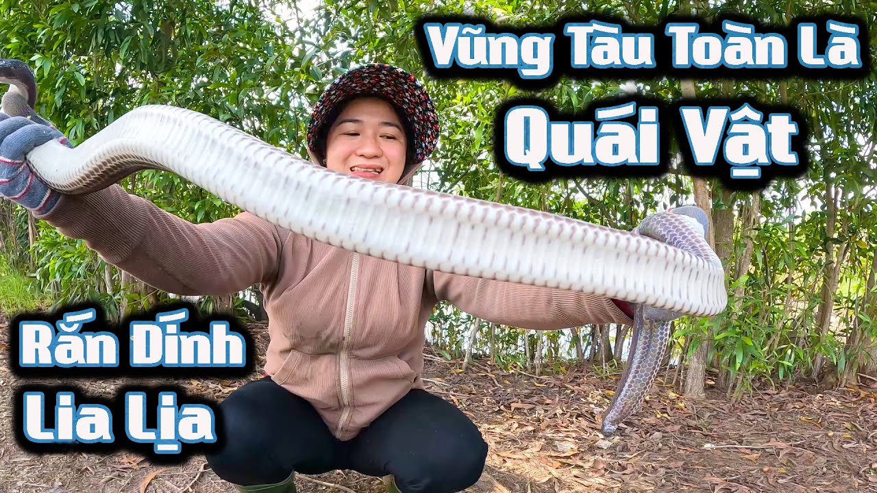 Trúng Mánh Toàn Là Rắn Bự, Dính Lia Lịa Vợ Bắt Mỏi Tay l Cò Sang Săn Bắt # Co Sang San Bat # Tập 4