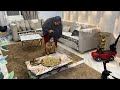 ام جني يزن ومازن وخدين كل وقتي ربنا يدمها عليه نعمه هما واخواتهم وبكره نشوف الحلو كله يارب 🤲 