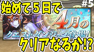 パズドラ ウマウマ パズドラ ウマウマ