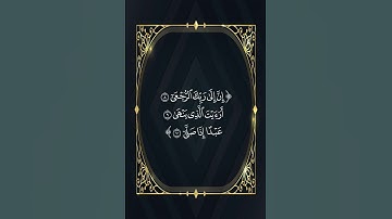 حالات واتس واتساب قران كريم المنشاوي