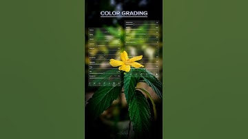 Before 🎭 After Lightroom Edit #shorts