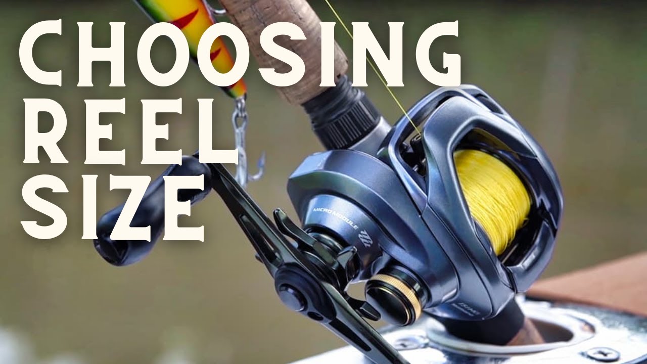 How To Pick Reel Size  David Mullins TackleDirect 
