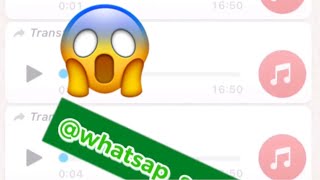 Sénégal Yakkouna Audio Whatsapp Qui Fait Le Buzz