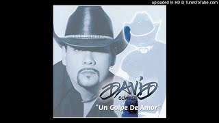 Video thumbnail of "David Olivarez - Y Te Lo Pido (2000)"