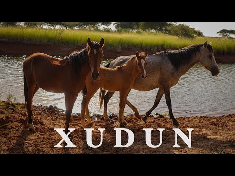 Dooxada Ugu Fardaha Badan Ee Xuddun