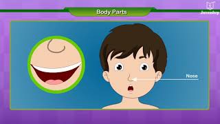 Celebrity Learn Body Parts For Kids | EVS | Grade 1 | New Spark | Periwinkle Net Worth