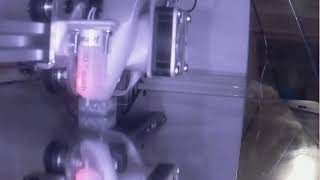 First Octolapse test