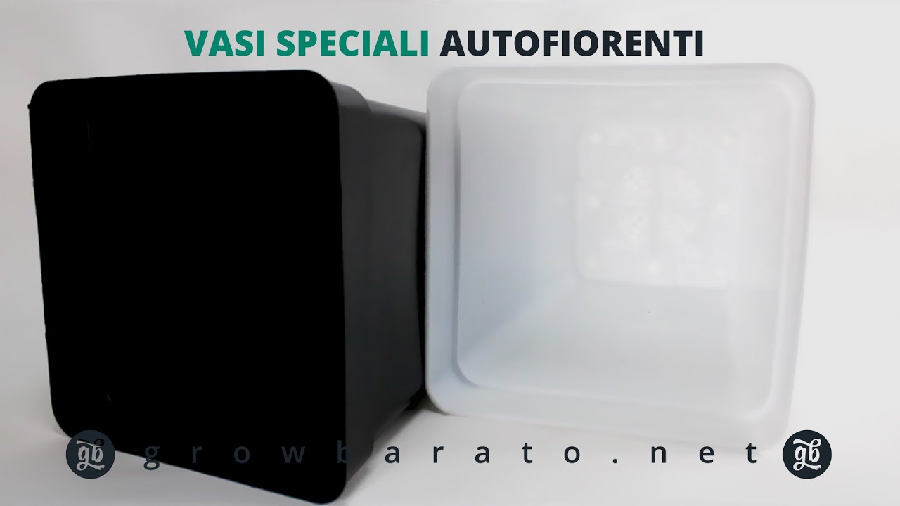 Maceta Especial Autoflorecientes | Growbarato - GB The Green Brand