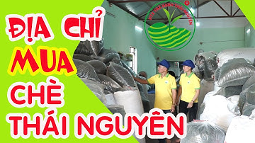 Mua Chè Thái Nguyên | HTX TRÀ XANH THÁI NGUYÊN