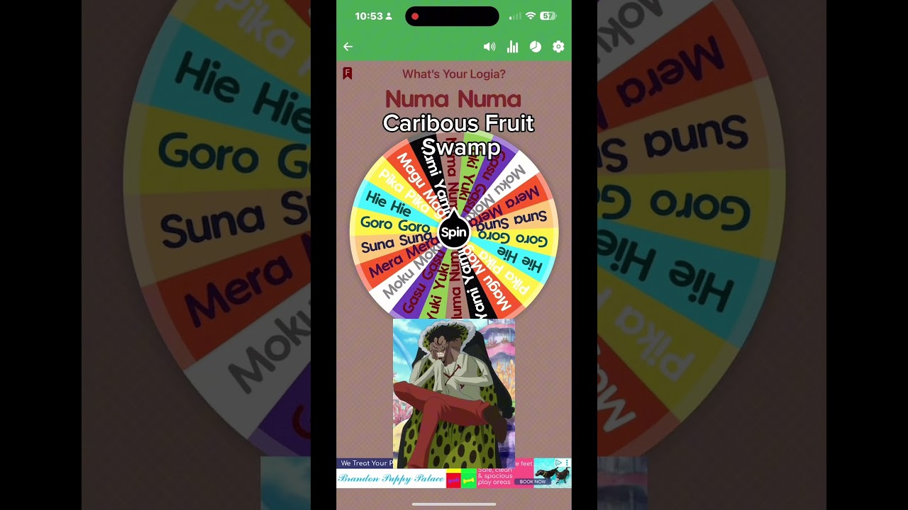 One Piece Wheel Spin for 