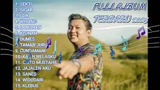DENI CAKNAN full Album 2025