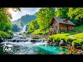 Restore Your Nervous System Beautiful Relaxing Music For Stress Relief Stop Overthinking 16 