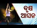 Roga Paeen Yoga | Want stability in daily life, try these yogasanas