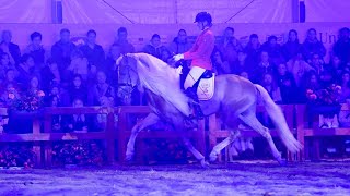 Haflinger Festival Schluderns Show Nachtwind En Floor 2024 - Haflingers Bouwman