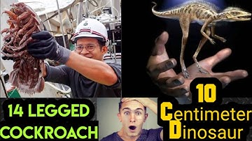 10cm Dinosaur,14Legged Cockroach & Many more in Weekly Enviro Wrap/Current Affairs Part-10