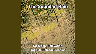 The Sound of Rain Pt. 15