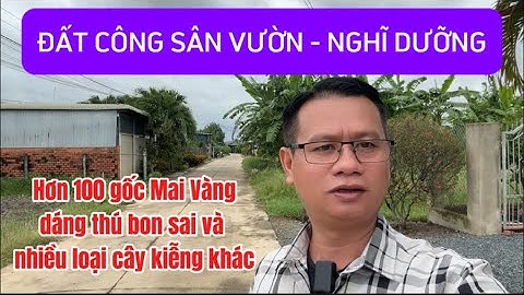 Bán đất 11.6x107,đất cách chợ Tân Bình Tây Ninh 500 m