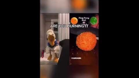 (REQUESTED) ARE YOU BURNING IT!? STOP! Csupo