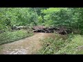 June 19th Flooded Creek!