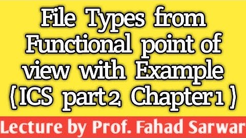 File Types from functional point of view | Program and Data File | ICS part 2 chapter 1